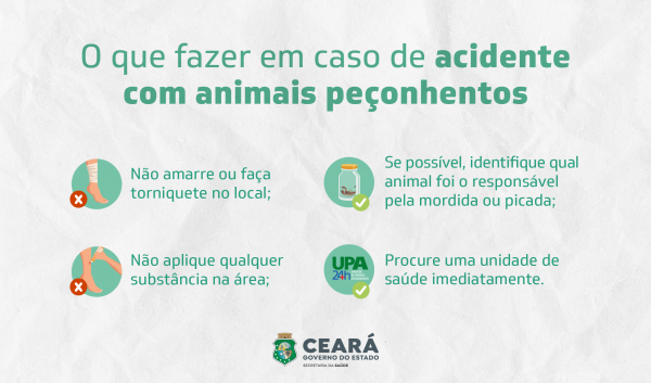 Foto: Reprodução/Secom Ceará