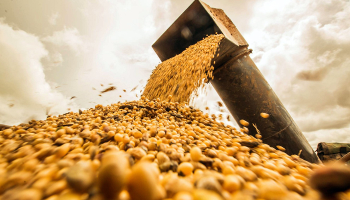 Jovem Aprendiz Agribrasil 2023: Vagas de Estágio e Trainee jovem-aprendiz-agribrasil-vagas-de-estagio Jovem Aprendiz Agribrasil 2023: Vagas de Estágio e Trainee