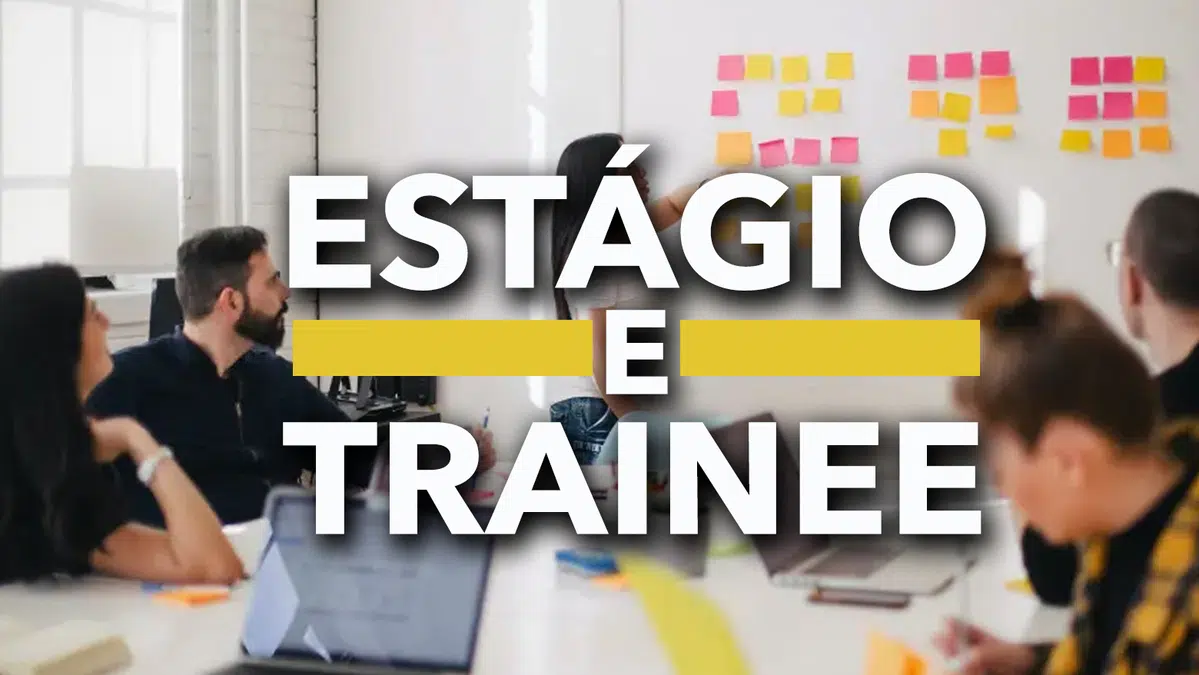 Sete empresas estão com OPORTUNIDADES abertas para estagiários e trainees – FDR – Terra