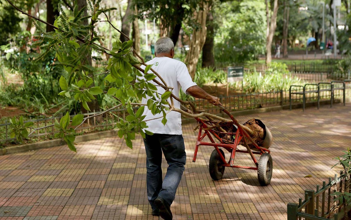 SineBahia: confira as vagas de emprego para Salvador, na RMS e interior do estado nesta segunda-feira – Globo