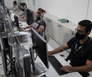 Bracell Bahia tem vagas de estágio em diversas áreas – iBahia