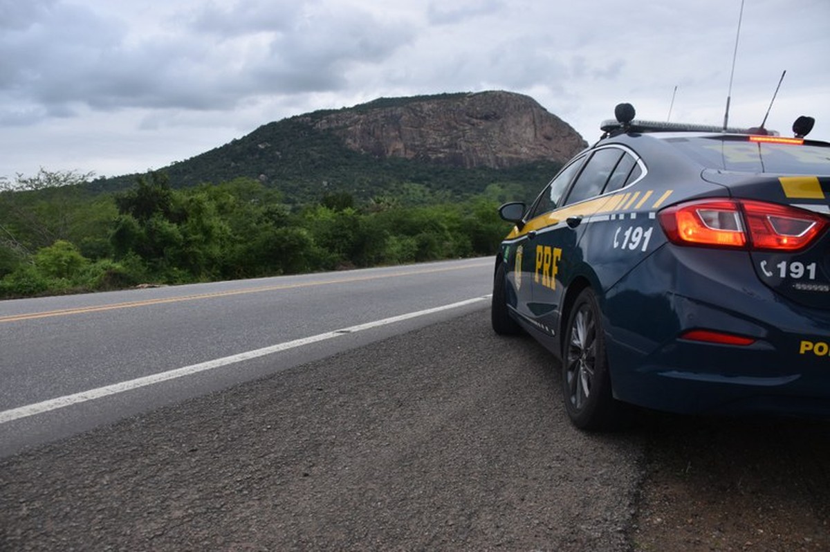 Pássaros silvestres são resgatados na BR-101, no Recôncavo Baiano; aves eram transportadas de forma irregular – Globo