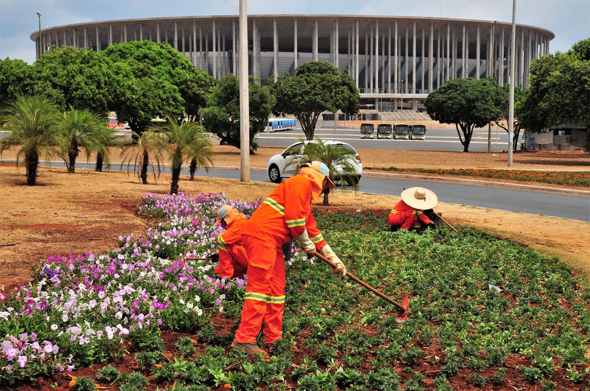 Simm oferece vagas de emprego para jardineiro e pedreiro nesta sexta-feira, em Salvador – Globo.com