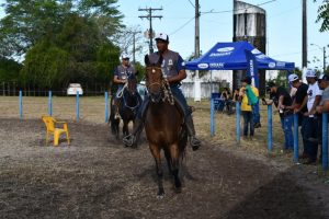 Alagoinhas realiza 1ª Copa de Marcha do Cavalo Mangalarga … – Prefeitura de Alagoinhas