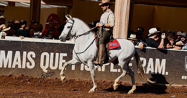 Galope milionário: Bahia tem cavalo avaliado em mais de R$ 2 … – Jornal Correio