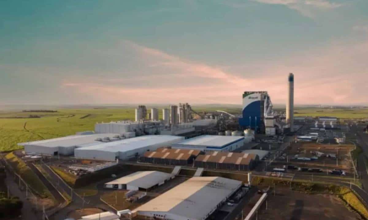 Empresa de celulose oferece 500 vagas de emprego em São Paulo – iBahia
