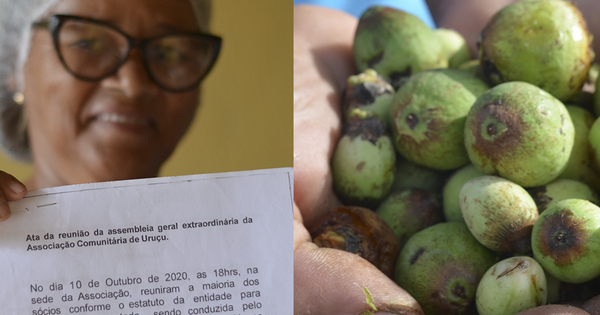 Uruçu: mulheres lideram associação que fatura mais de R$ 30 mil por ano na Bahia – Jornal Correio