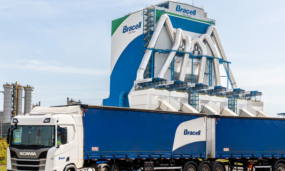 Bracell abre mais de 60 vagas para estágios de ensino superior – Petrosolgas