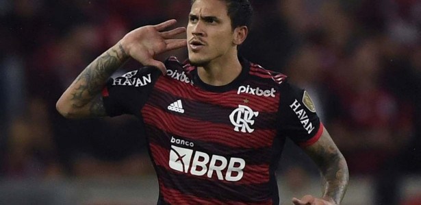 TRANSMISSÃO PALMEIRAS X FLAMENGO AO VIVO: Qual canal vai transmitir o jogo do Flamengo hoje, 28/01? Vej… – NE10 Interior