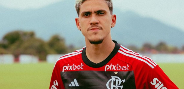 FLAMENGO X PALMEIRAS AO VIVO ONLINE: ASSISTIR PALMEIRAS X FLAMENGO AO VIVO ONLINE GRÁTIS – Blog do Torcedor